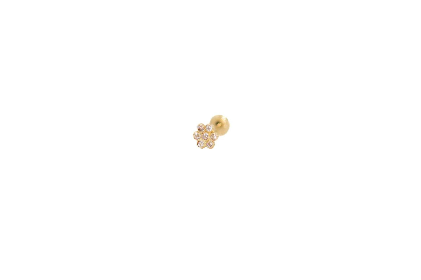 Flor Roseta